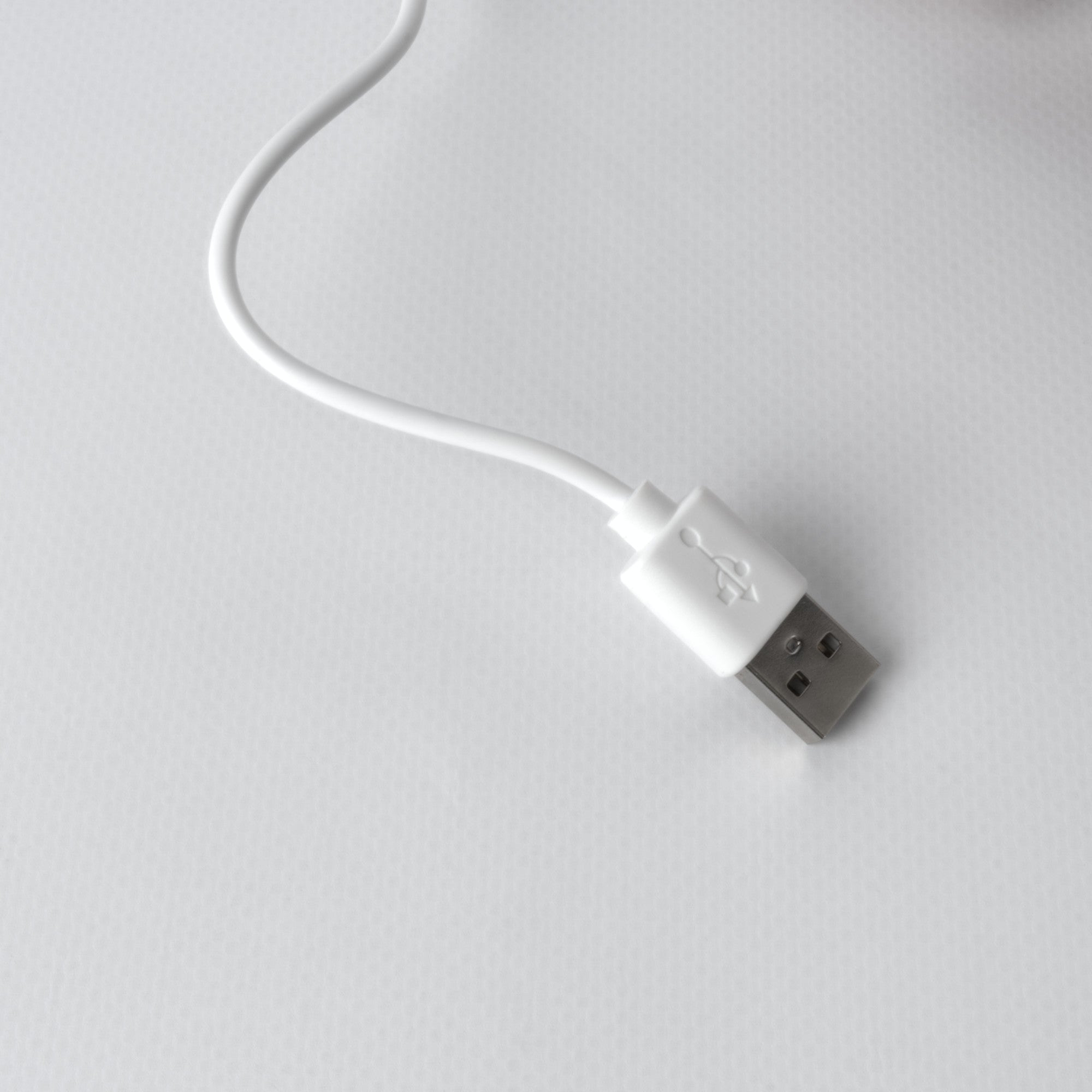 Lumi Pro Charging Cable 2-Prong