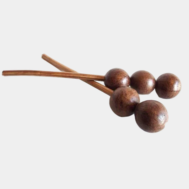 Seed Pod Shaker - Each