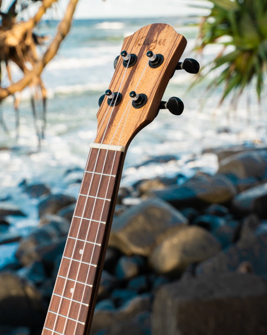 Kayu Zebrano Ukulele Y-13