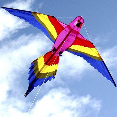 Lorikeet Kite