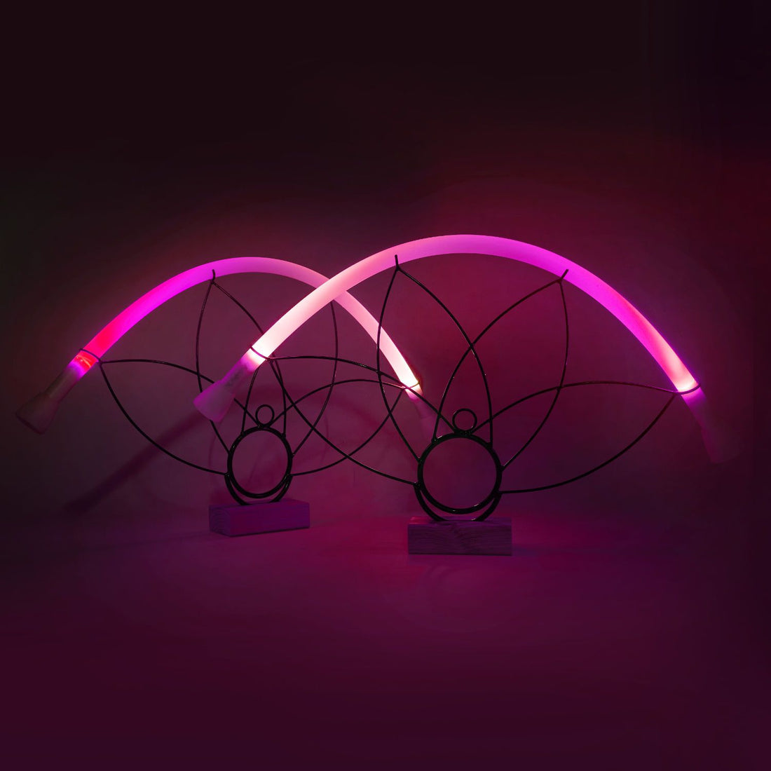 NEW PRODUCT - Concentrate LED Glow Fans