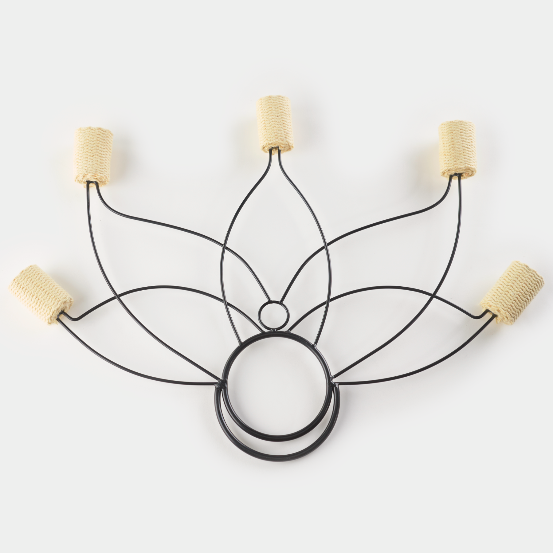 Fans | Palms | Wands