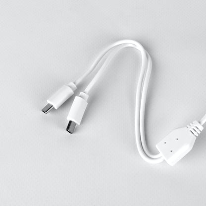 Lumi Pro Charging Cable 2-Prong