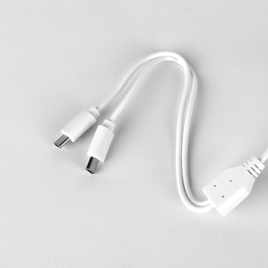 Lumi Pro Charging Cable 2-Prong