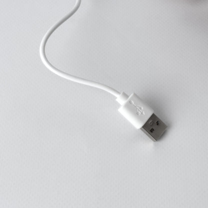 Lumi Pro Charging Cable 2-Prong