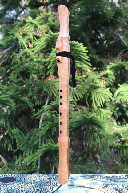 G Minor Silky Oak Camphor Laurel 440Hz Flute