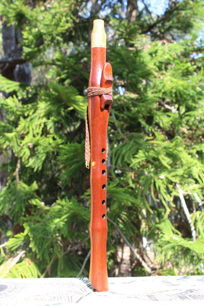 A Minor Red Cedar, Silky Oak 440Hz