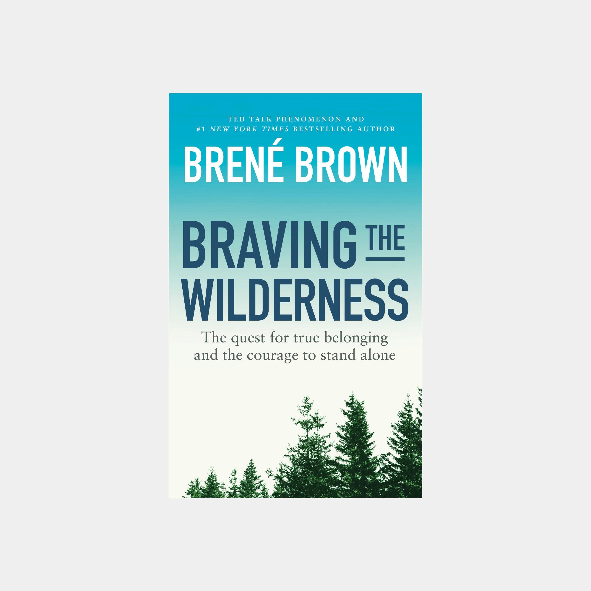 Braving The Wilderness Book