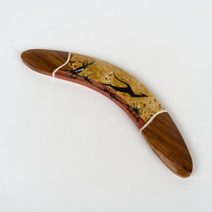 Boomerang Painted