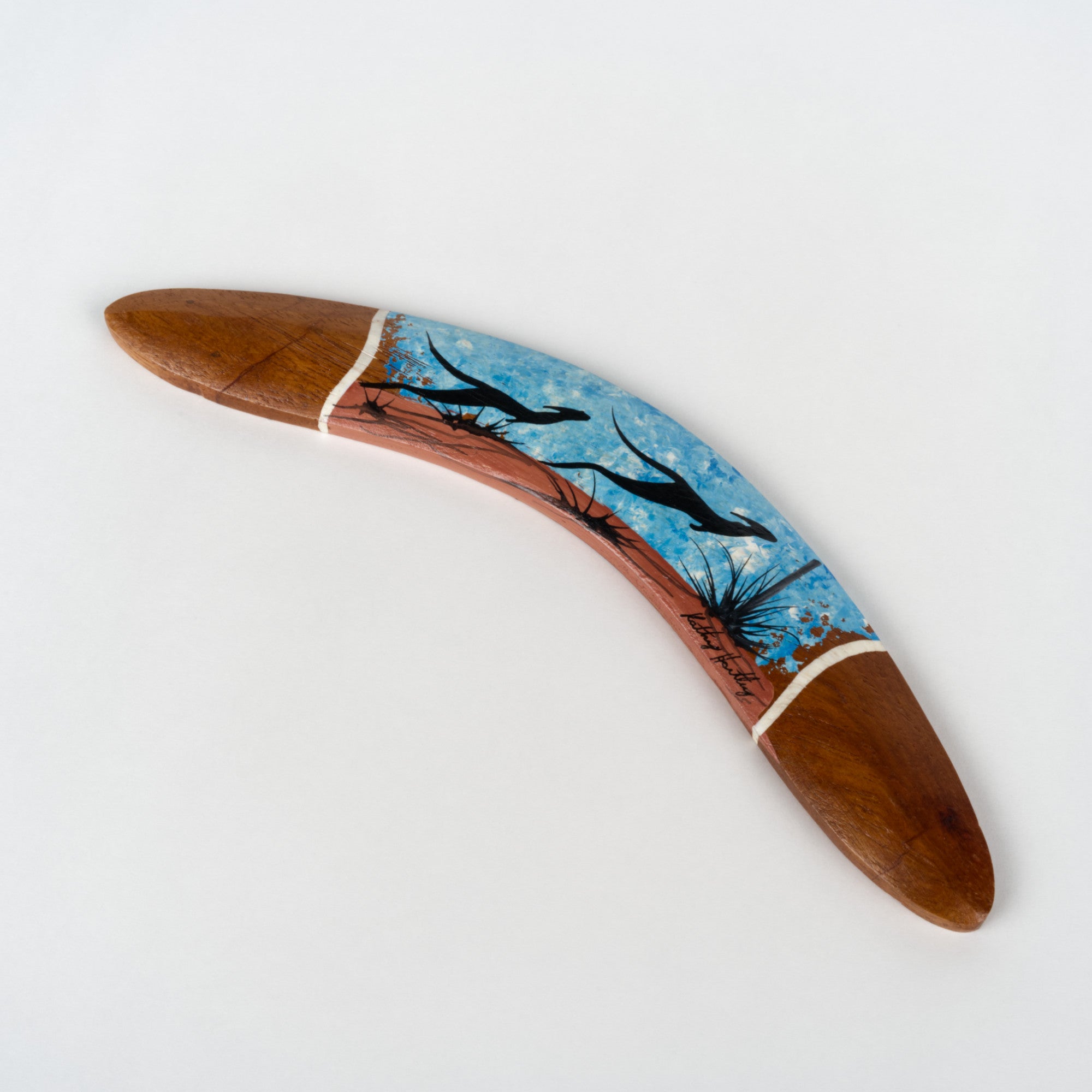 Boomerang Painted