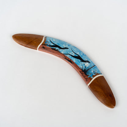 Boomerang Painted