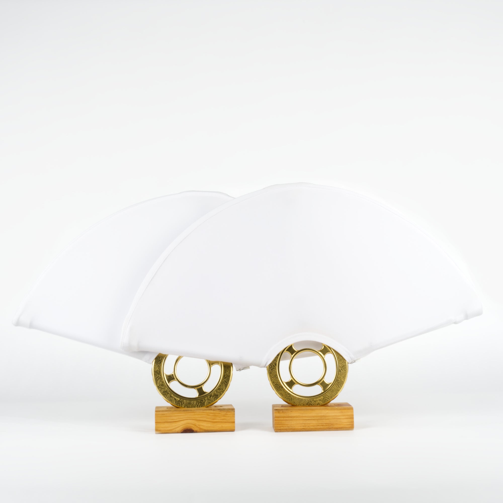 Halo LED Fans - Pair