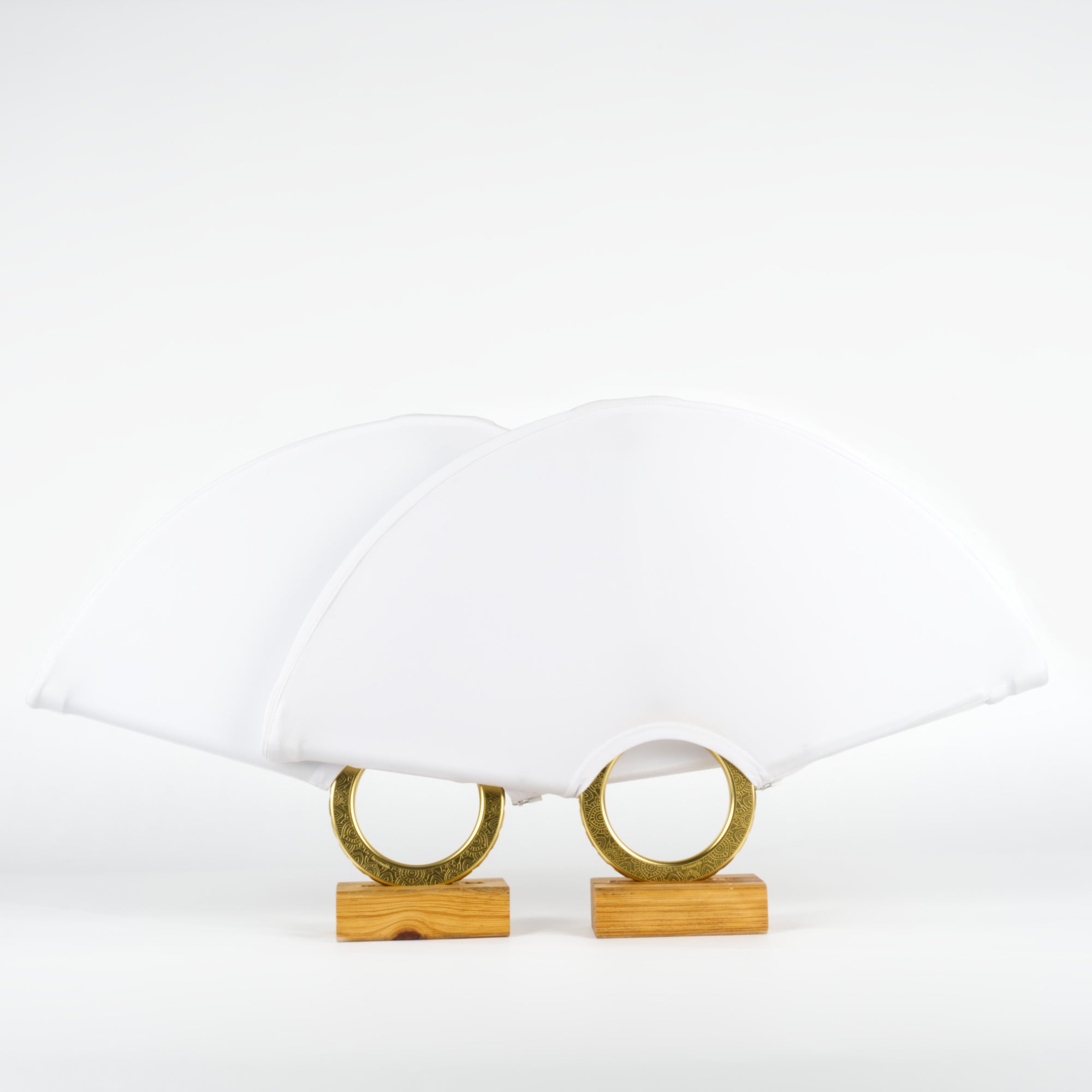 Halo LED Fans - Pair