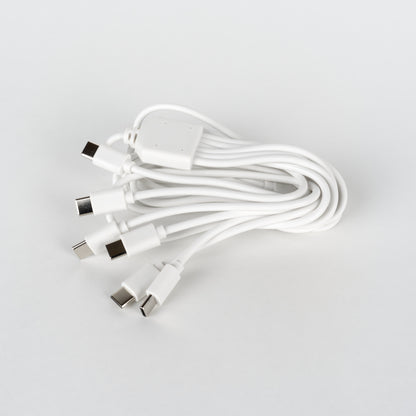 Lumi Pro Charging Cable 6-Prong