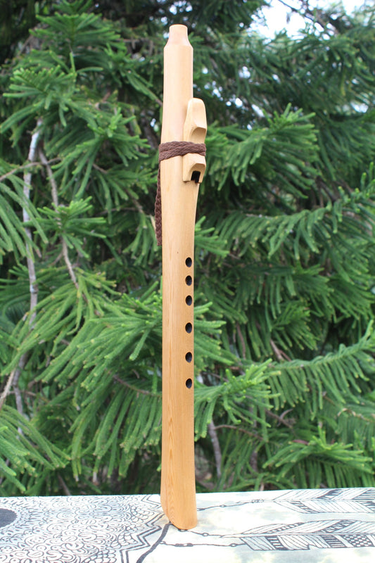 F# Minor Red Cedar Flute 440Hz