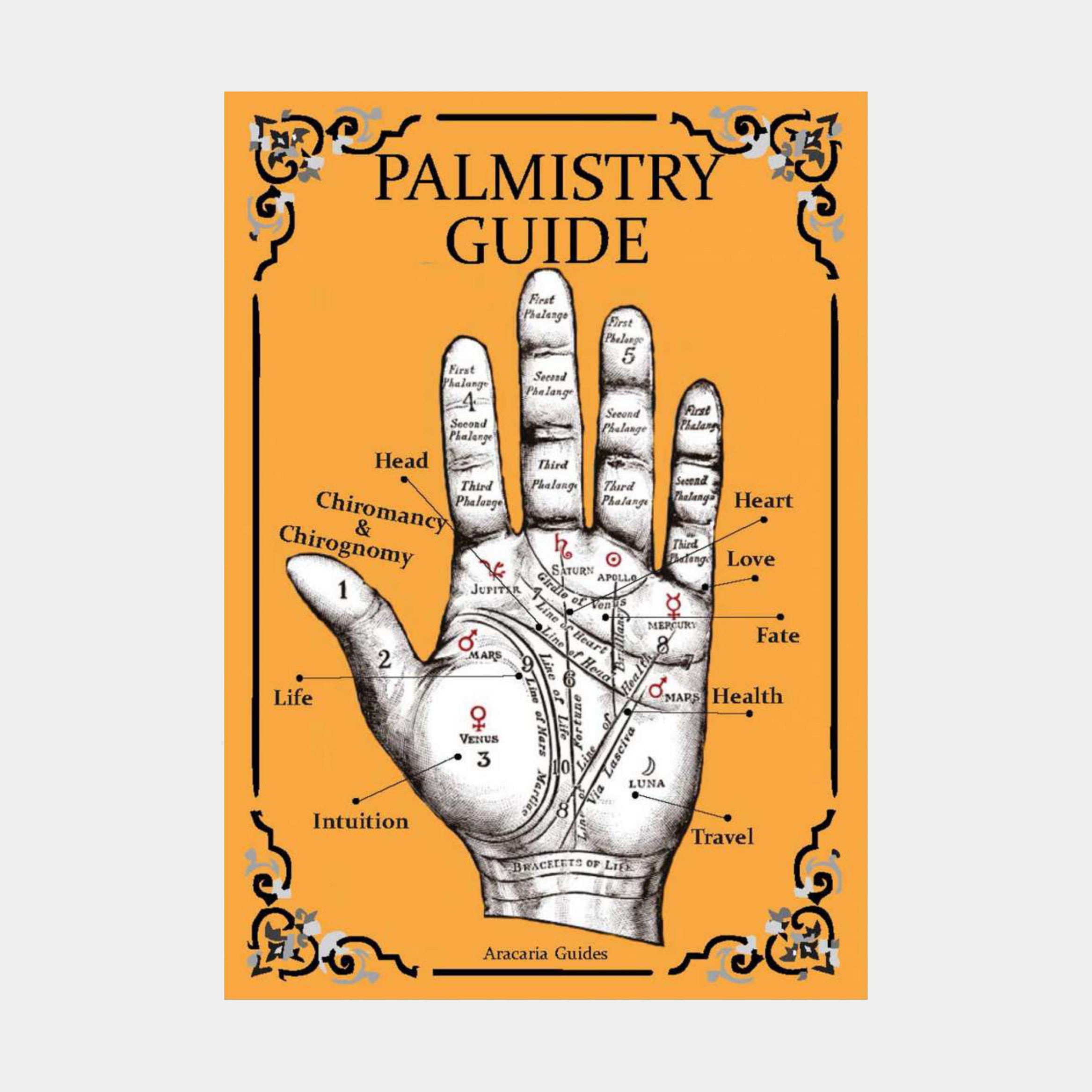 Palmistry Guide