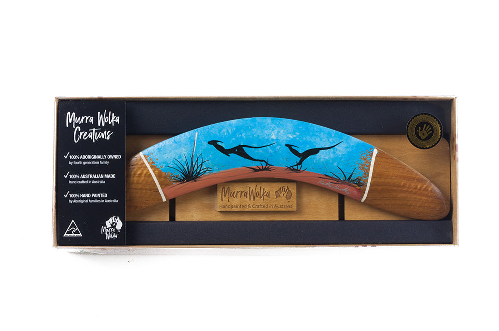 Boomerang Painted