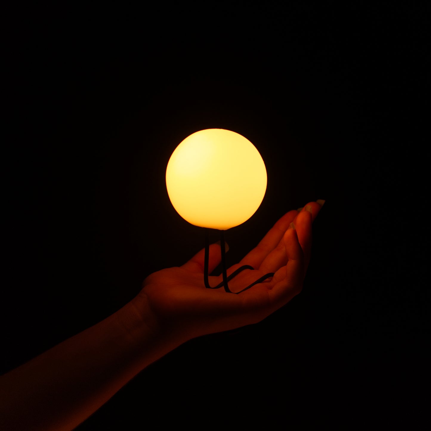 Lumi Pro LED Palms