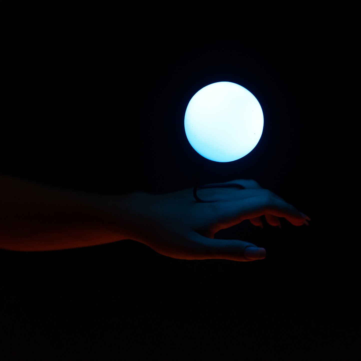 Lumi Pro LED Palms