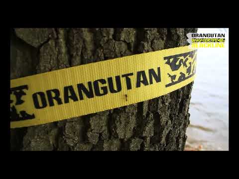 Load video: Orangutan Slackline 15m