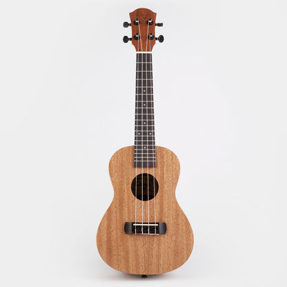 Kayu Natural Ukulele Y-01