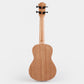Kayu Natural Ukulele Y-01
