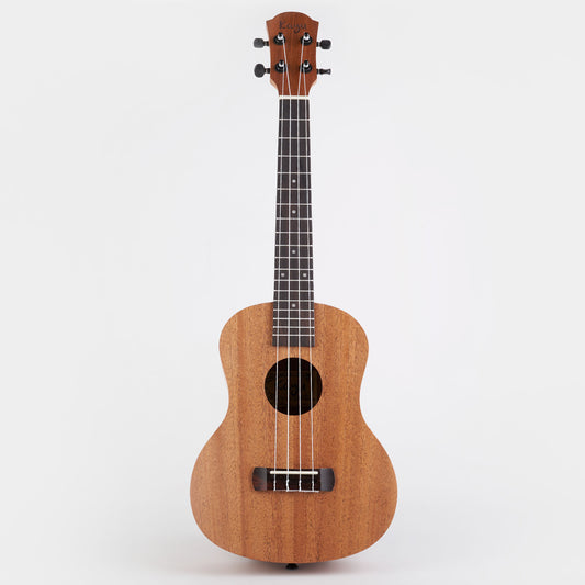 Kayu Natural Ukulele Y-01