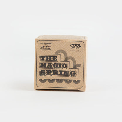 Slinky Spring Metal