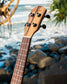 Kayu Zebrano Ukulele Y-13