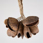 Juju Rattle - Large Seedpod